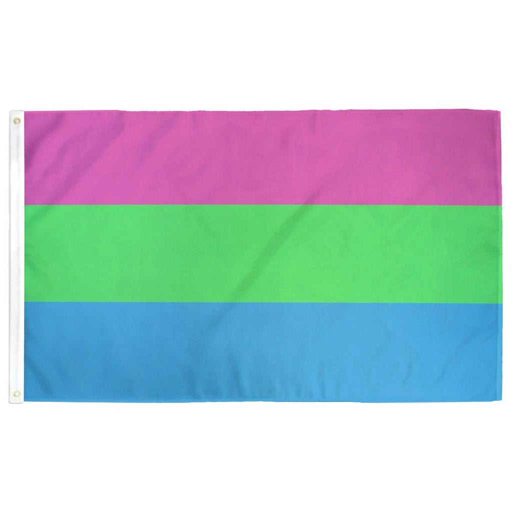 Polysexual Poly Pride Flag Flags For Good 9618