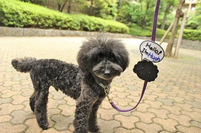 only wan 犬型リードアクセサリー｜ペットグッズ・ドッグアパレルの通販サイトINUTO（イヌト）