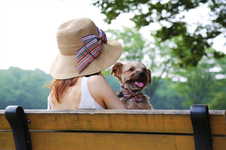 犬とお揃いの服まとめ おすすめブランドやインスタ画像 買える場所を紹介 いぬりぽ