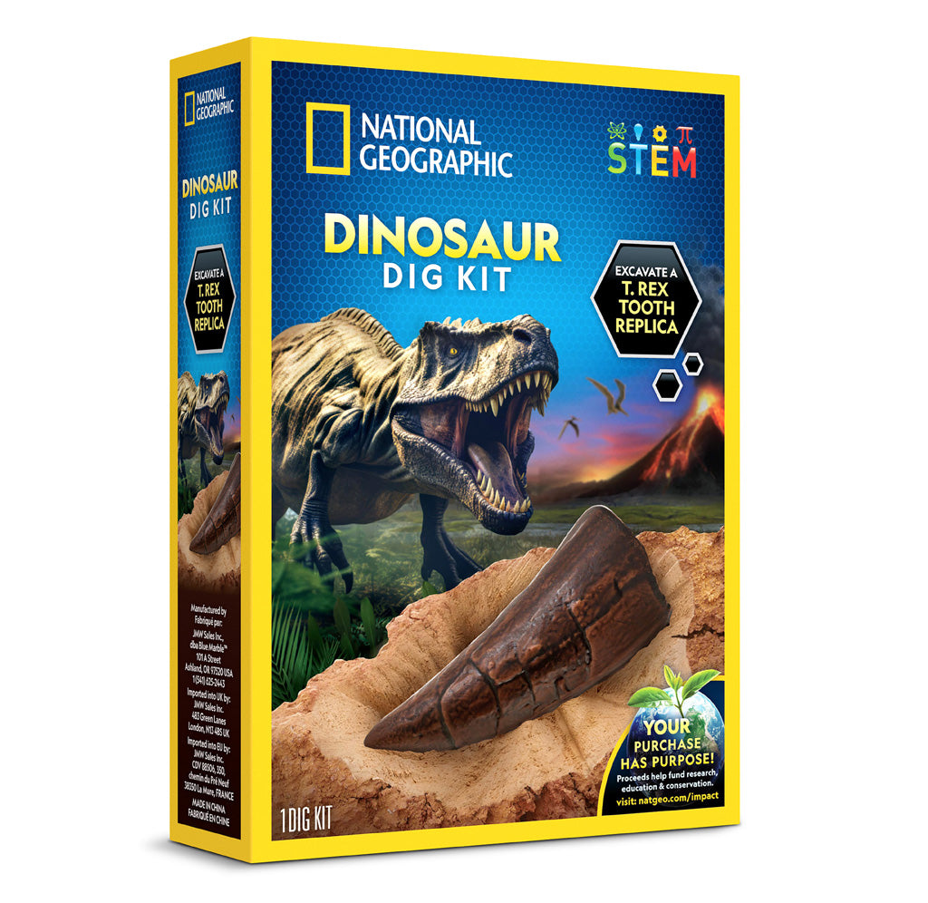 Dinosaur Fossil Dig Kit