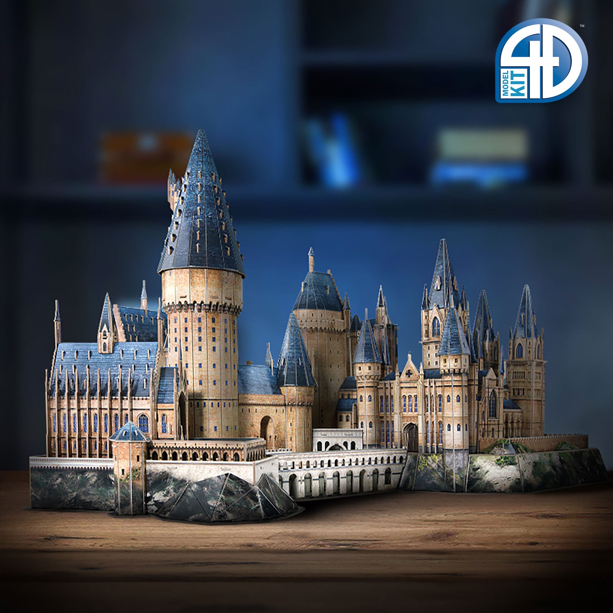 3D Harry Potter Puzzle Model