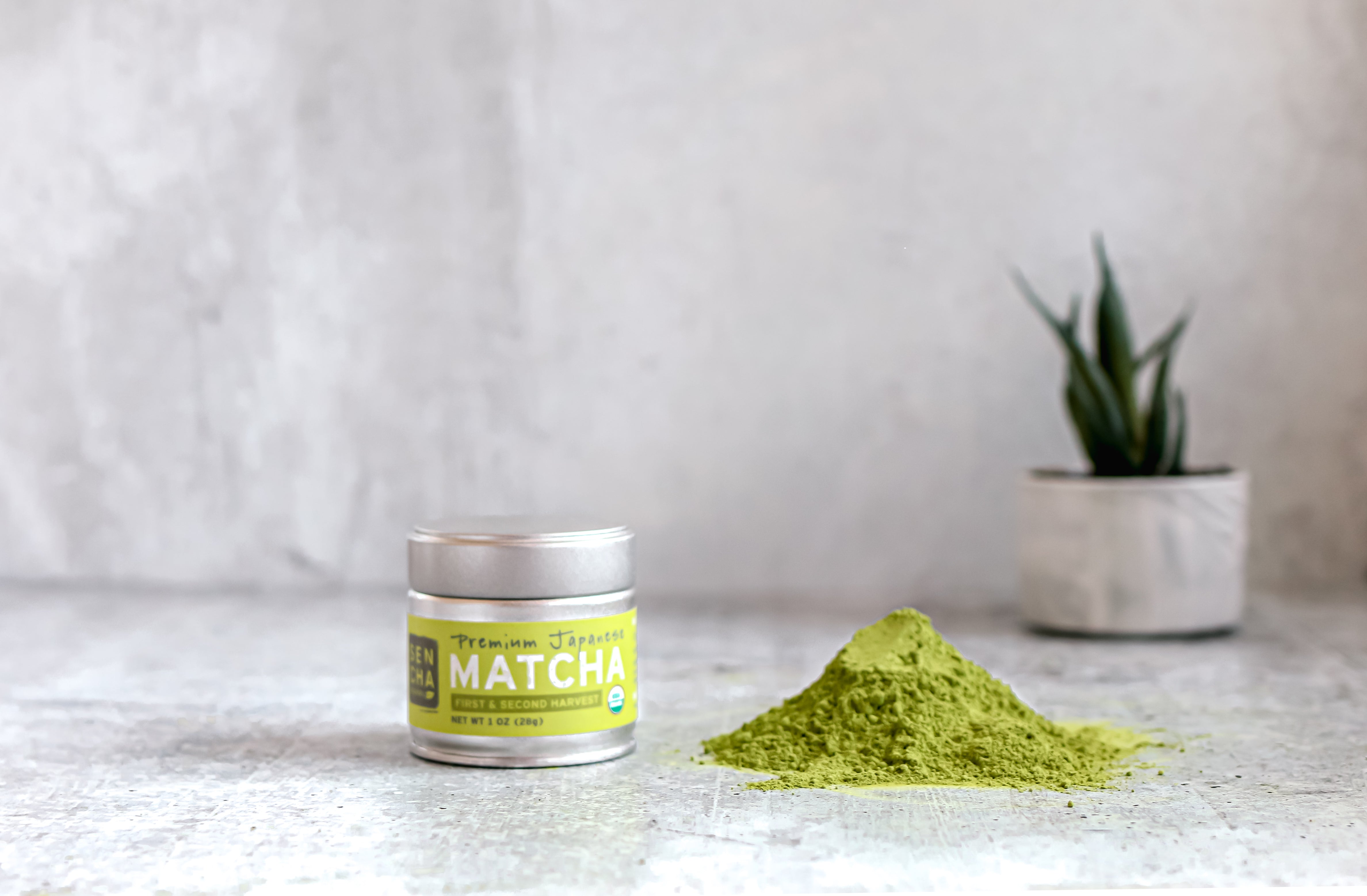 Photo of a small silver tin of sencha naturals matcha green tea powder next to a small mound of green tea powder on the right, set on a light countertop with a green plant in the background