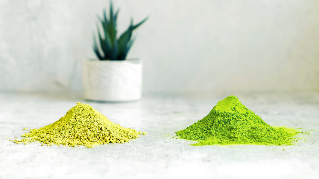 A photo of two small mounds of Sencha Naturals Ceremonial Matcha Powder, on a white background with a small green plant in the back