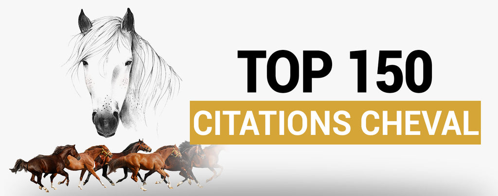 Top 150 Citations Cheval Planete Cheval