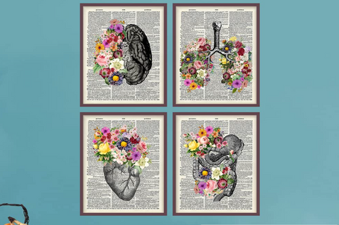 Doctor anatomy wall art, gift idea for match day, resident graduation gift ideas