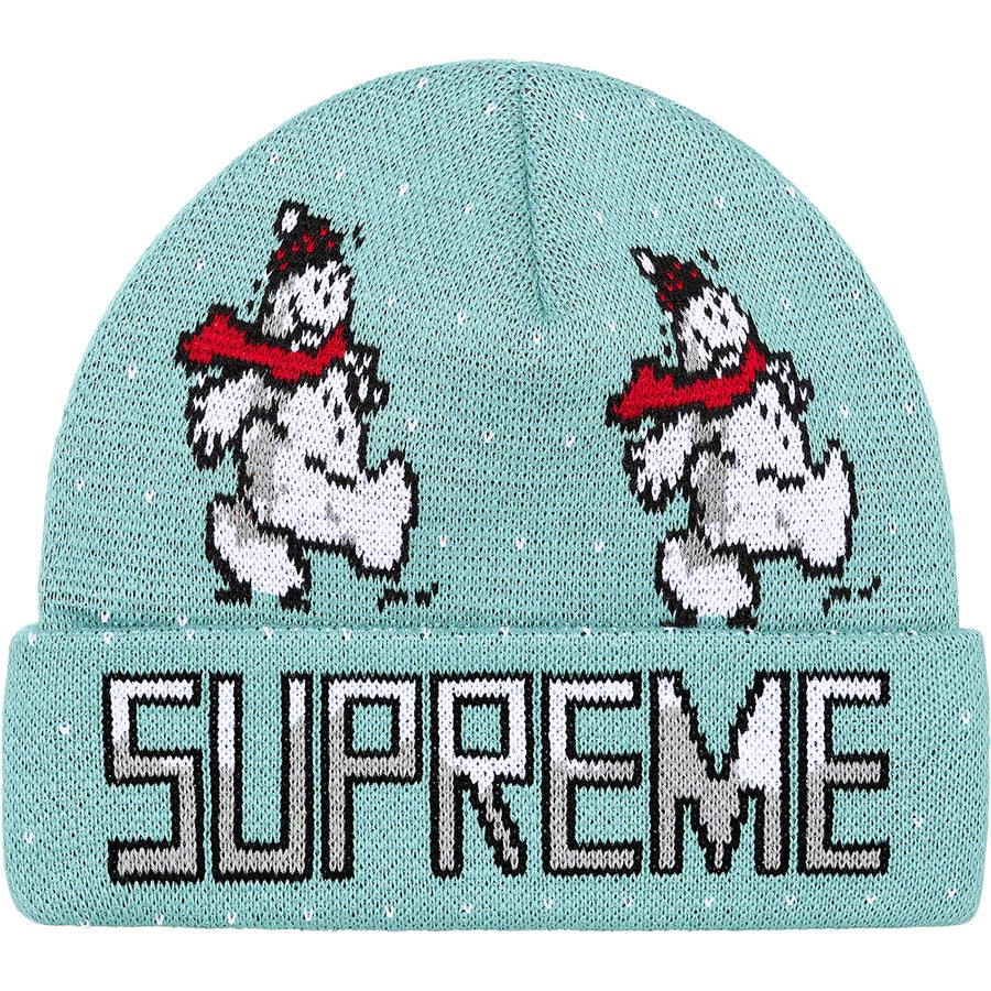 supreme mint beanie