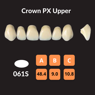 Yamahachi - Crown PX Crown PX & Efucera PX Teeth Shade C2