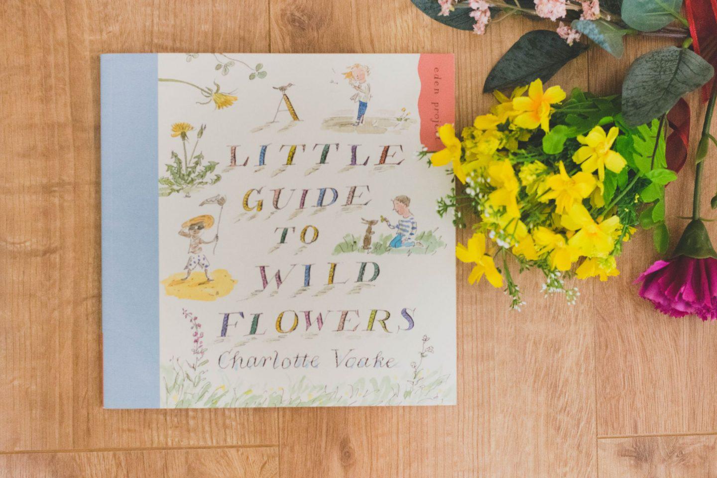 Book- a little guide to wild flowers