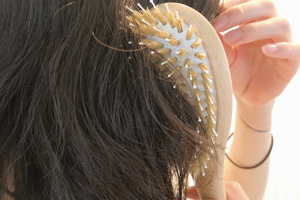 ヘアブラシでとかすモデル