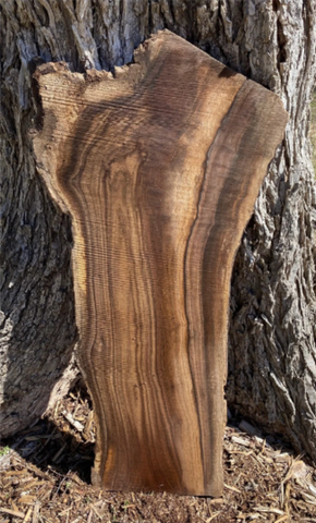 walnut, live edge, custom slab, rustic lumber