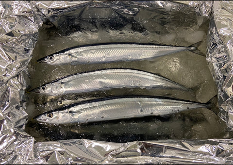 sanma