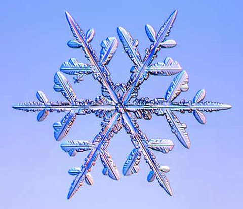 Snowflake under a microscope