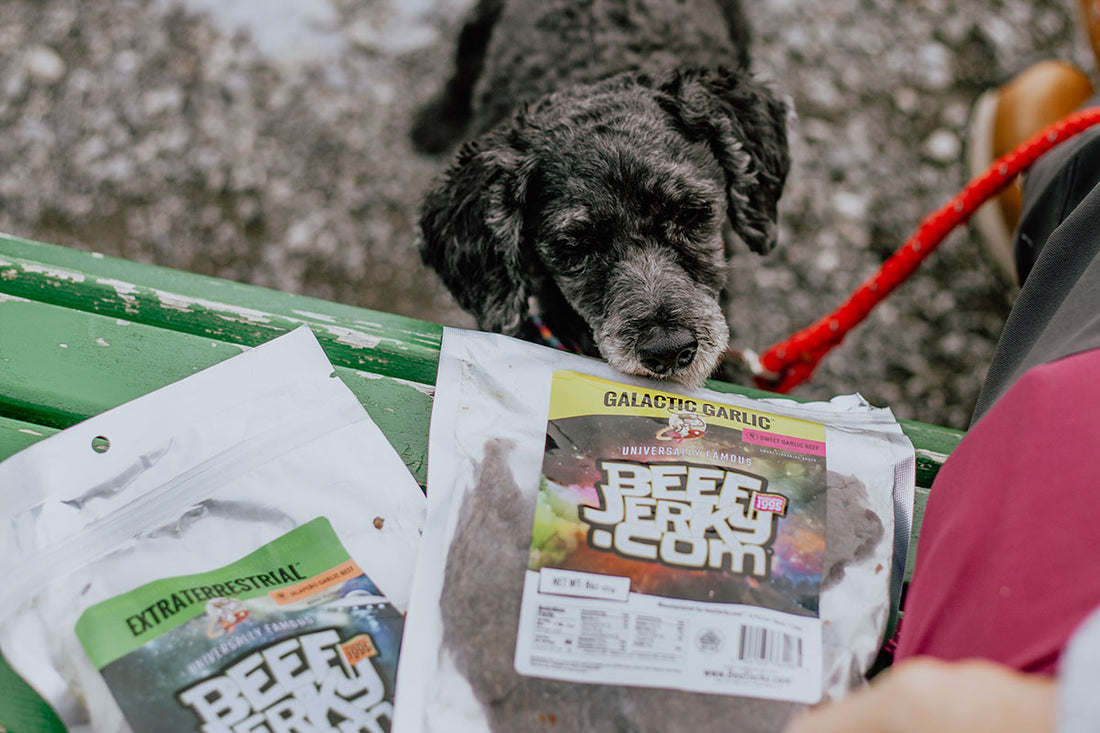 can dogs have beef jerky