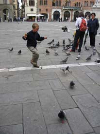boy playing with pigeons Lucca, Italy, tranquilty charming town