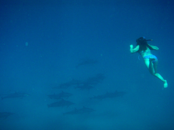 Hawai'i Artist Kelly Borsheim snorkling with spinner dolphins. Photo by Michael Seiler