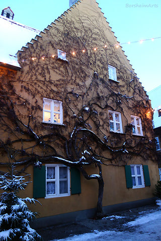 charming home front with sleeping vines covering most of the wall, with the A-frame top roof shape. picturesque Bavaria