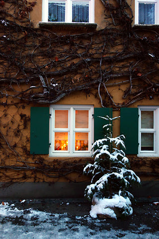 These German houses in Bavarian Augsburg look like Christmas cards, here a snow covered pine tree in front