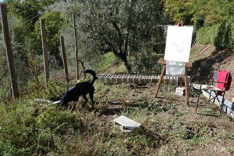 Here is the setup for painting live... with my neighbor's black dog Yoda hanging out with artist Kelly Borsheim