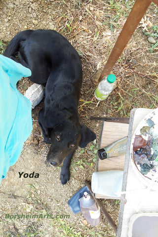 black dog Yoda sits at / on the artist Kelly Borsheim's foot between her and the painting on her easel in the middle of a Tuscan farm