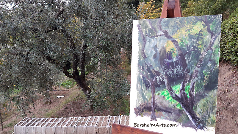 Work in progress Olivo nel Campo Olive tree in the field Tuscany Italy