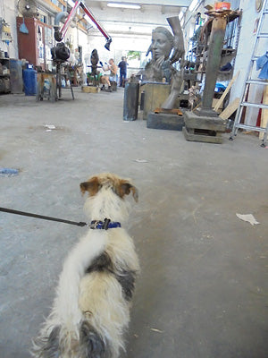 Gregory da Pisa, curious puppy dog in a foundry in Pietrasanta Italy