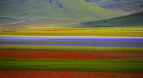 Castelluccio