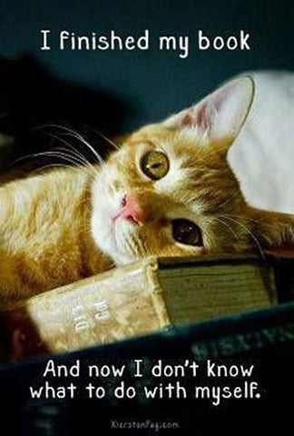 Cats and Books: A Love Story, in Memes – Page Chaser