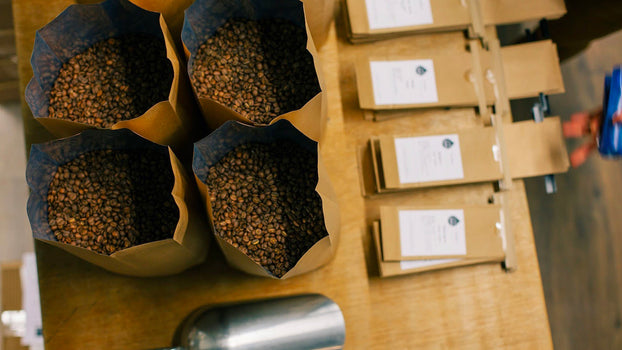 Quel café en grain choisir : 6 conseils pour choisir son café en grain