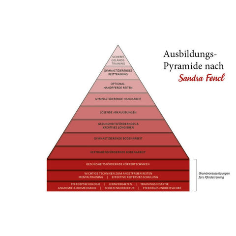 Ausbildungspyramide_Sandra_Fencl_Ganpferde_Online_Ausbildung