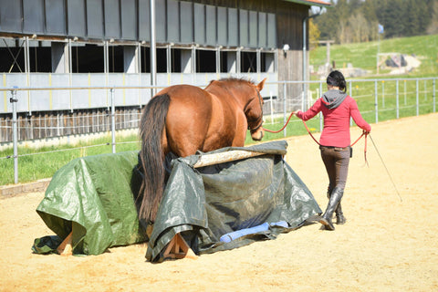 Balancetraining Ergotherapie