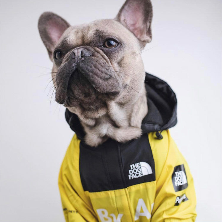 north face dog coat