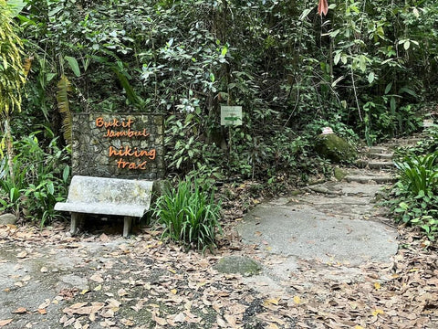 Bukit Jambul trail. Photo by Water Chew.