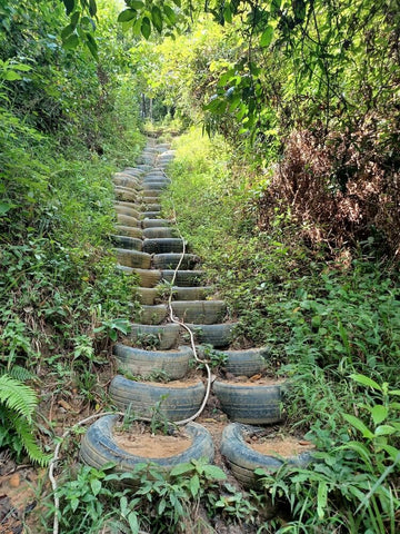 Bukit Kopungit tyre path. Photo by Vann Lee.