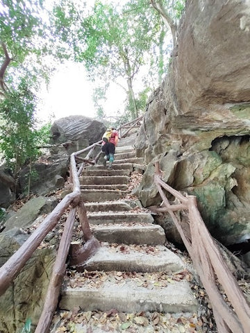 Bukit Kubu Recreational Forest hiking trail stairway. Photo by Kim Peng Lim.