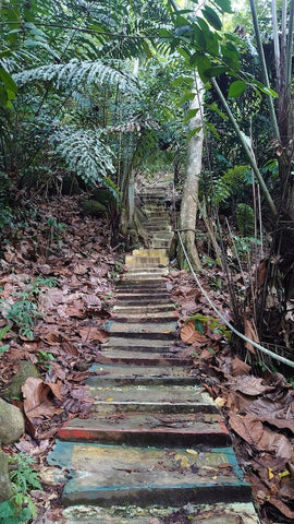 Bukit Perahu stairs. Photo by Syafiq Faisal.