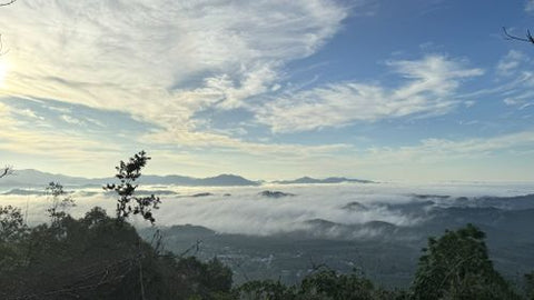 Bukit Telipong's sea of clouds. Photo by Hong BK.