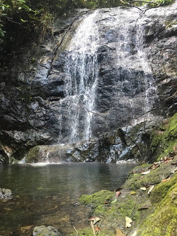 Danum Valley waterfall. Photo by Ashley Meuser.