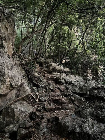 Gunung Keriang's challenging trail. Photo by Noor Hidayu.