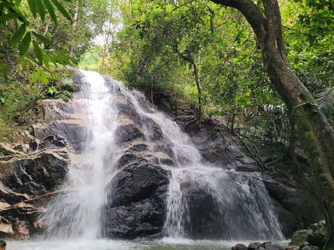 Kanching Forest Waterfall. Photo by shikin L.