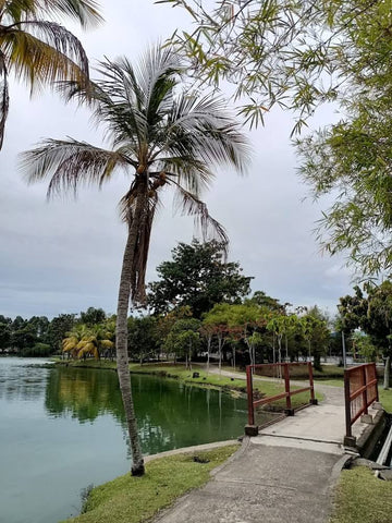 Kelana Jaya Park. Photo by CY Lee.