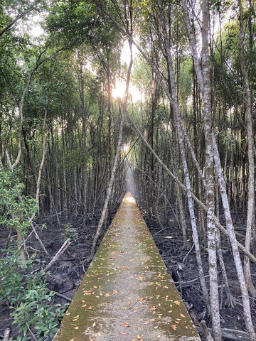 Kuala Selangor Nature Park. Photo by Shaharum Ramli.