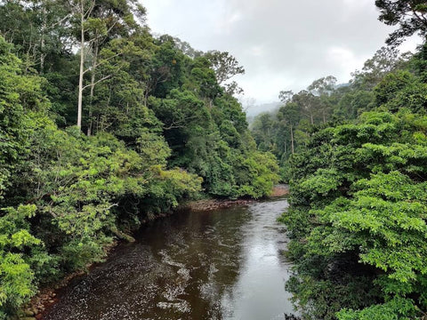 Maliau Basin river. Photo by Aqil Durani.