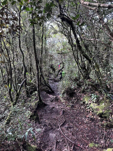 Maragang Hill hiking trail. Photo by GS Tan.
