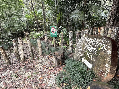 Moniot hiking trail entrance at Penang Hill. Photo by Jiang Tao.