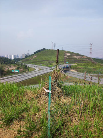 Serdang Hill Peak. Photo by Jean C.