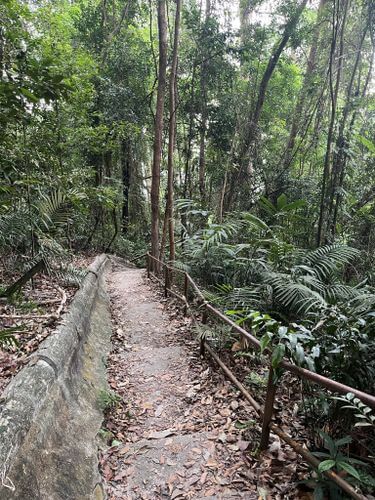 Tangga Taubat trail, also known as the "Stairs of Repentance". Photo by Hazif Azli Mt Husin.