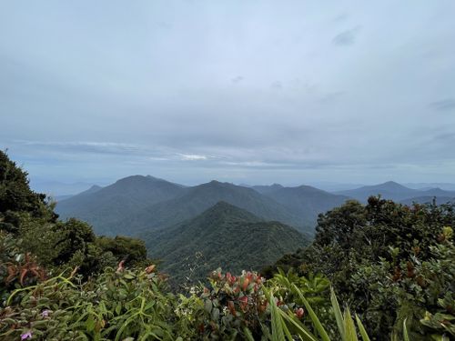 Gunung Yong Belar's stunning scenic view of the surrounding peaks of Kelantan. Photo by Eva Wong.