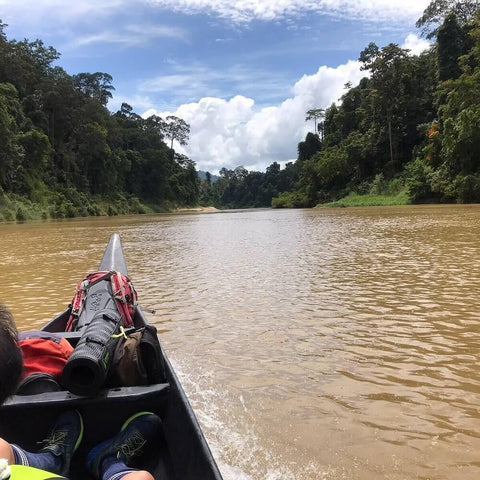 Taman Negara river ride by the Mangrove trees. Photo by Takewee.