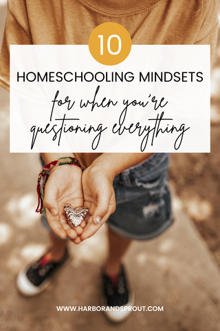 10 homeschooling mindsets
