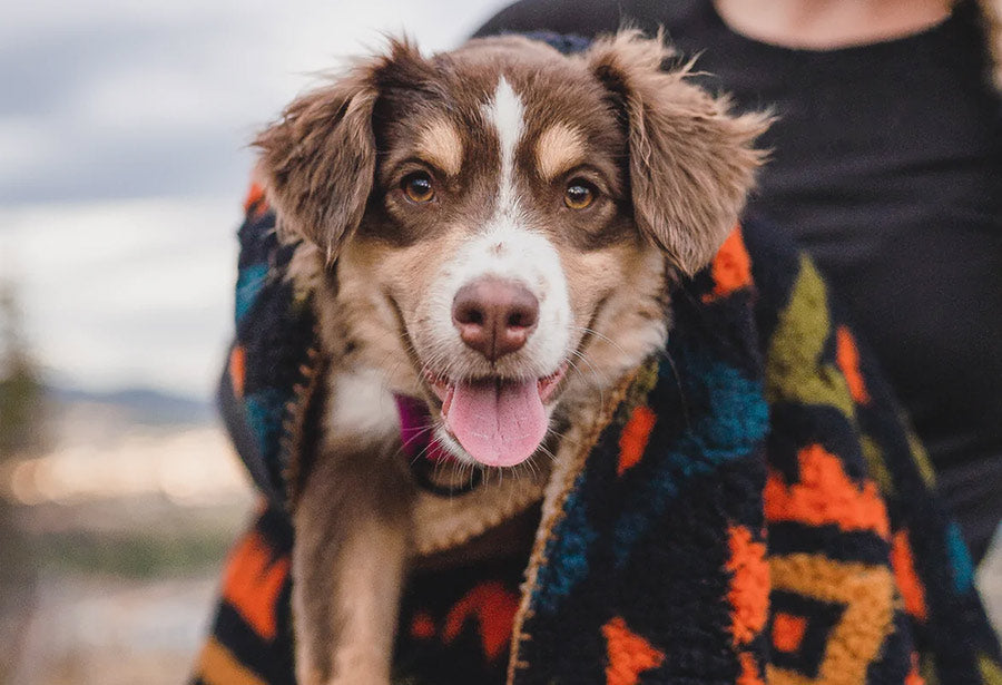 Wilderdog Fleece Blanket